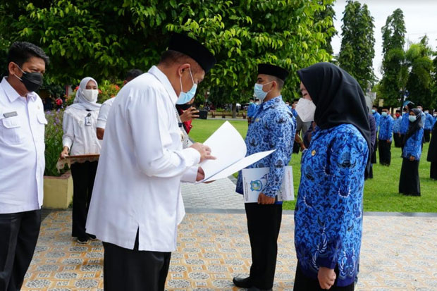 241 CPNS Formasi Tahun...