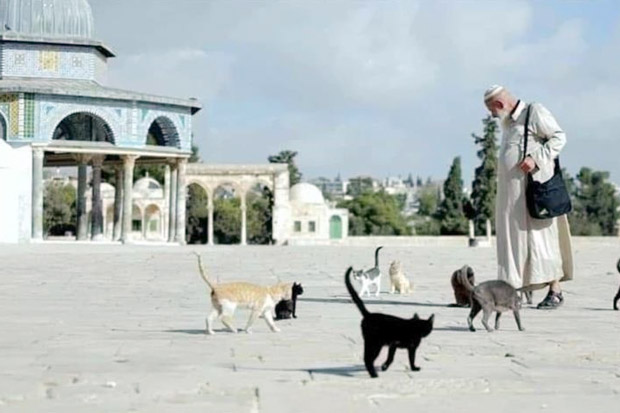 Bapak Kucing Masjid...