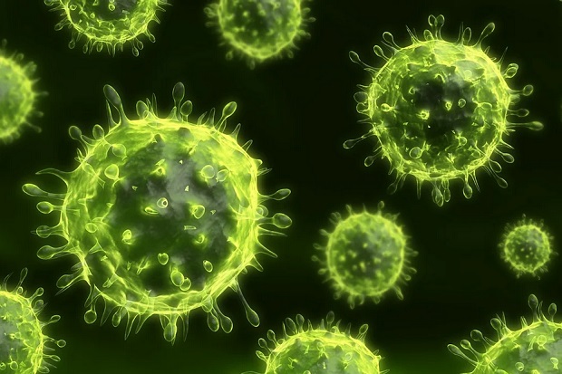 Waspada! Virus Nipah...