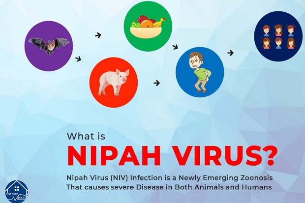 Yuk, Kenali Gejala Virus...
