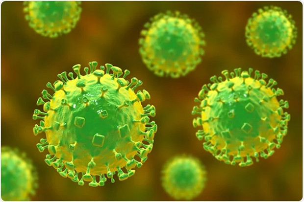Virus Nipah Disebut...