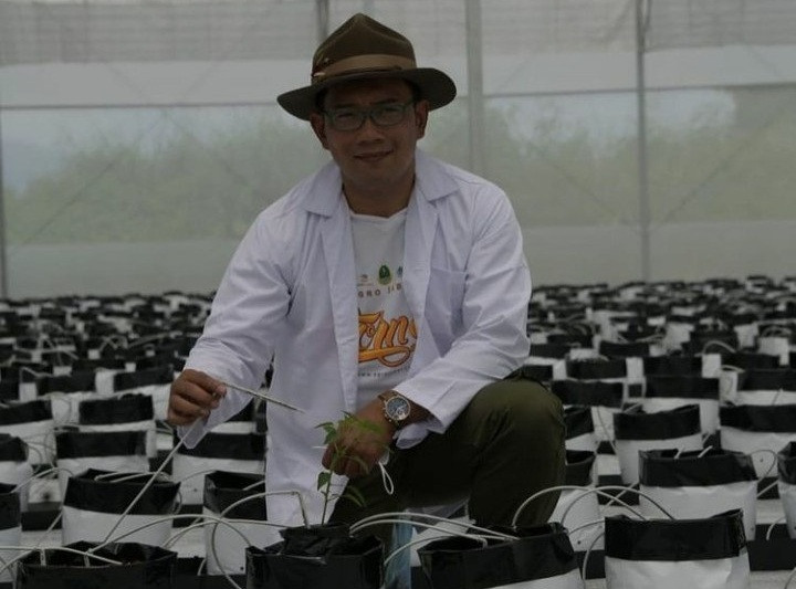Ridwan Kamil Cari 5.000...