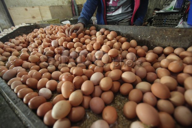 Telur Ayam dan Bawang...