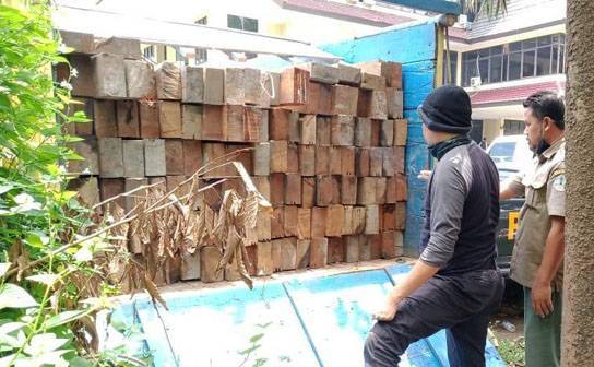 2 Truk Pengangkut Kayu...