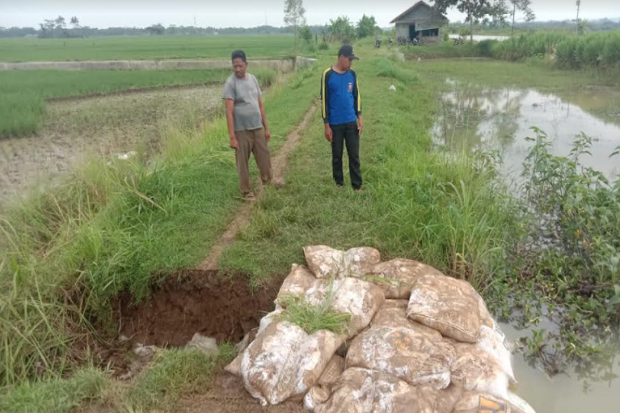 Tanggul Jalur Sungai...