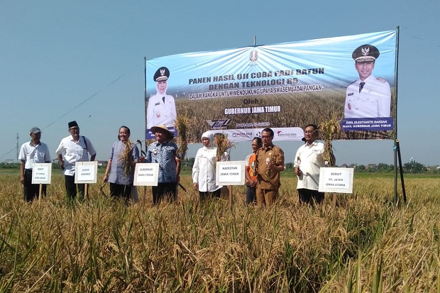 Alokasi Pupuk Bersubsidi...