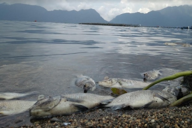 Astaga, Pinggiran Danau...