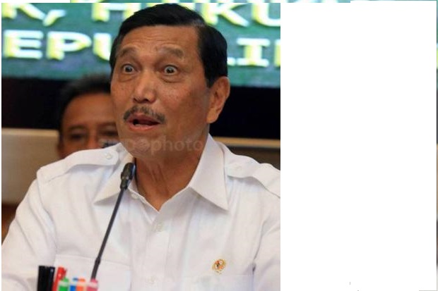Meski Terlambat, Luhut...