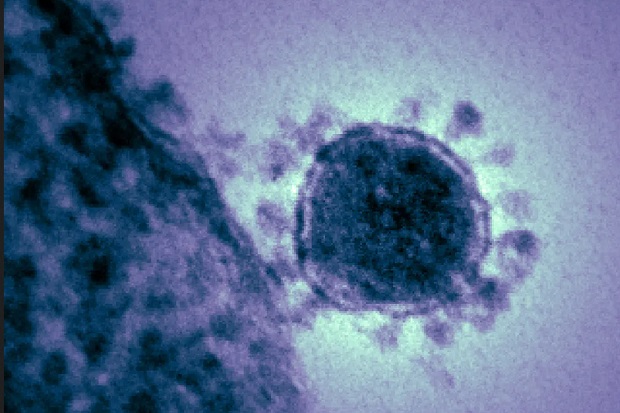 Virus Baru atau Lama...