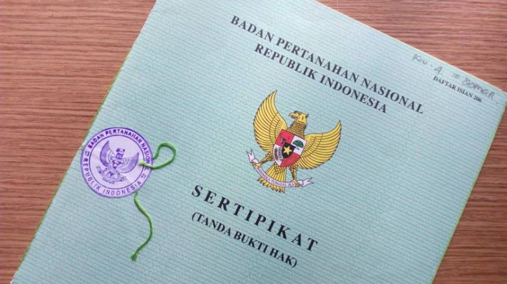 Dino vs Mafia Sertifikat...