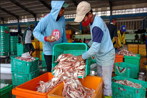 Dampak Cuaca Buruk,...