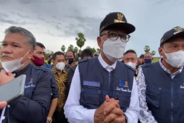 Panen Perdana Benih...