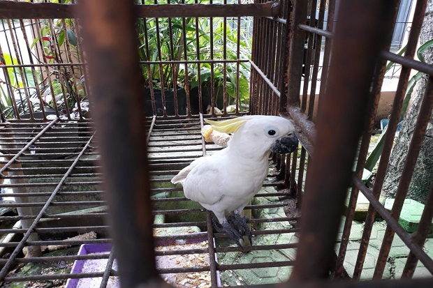 Warga Serang Serahkan...