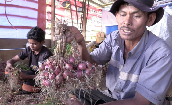 Petani Food Estate Hortikultura...