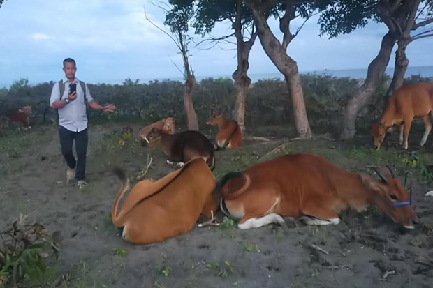 Terungkap, Usai Dilepas...