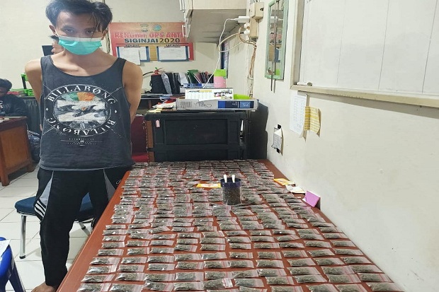Ratusan Paket Ganja...