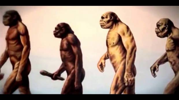 Manusia Neanderthal...