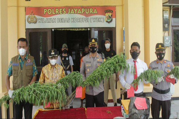 Polres Jayapura Temukan...