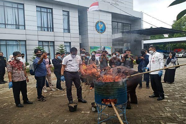 BNNP Banten Musnahkan...