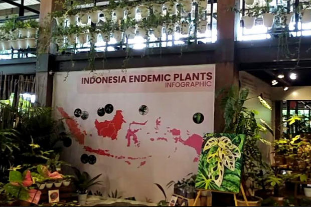 Gaet Pengunjung saat...