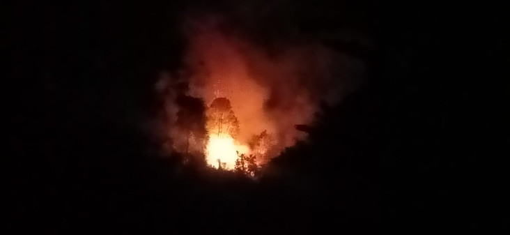 Kebakaran Hutan di Padang,...
