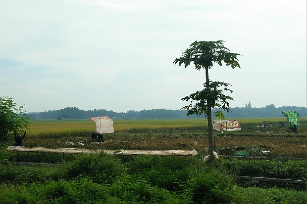 Kasus Penggunaan Lahan...