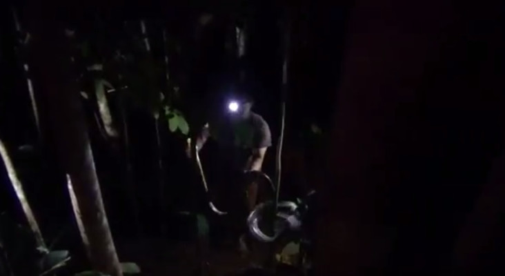 Ular Piton 3 Meter Kembali...