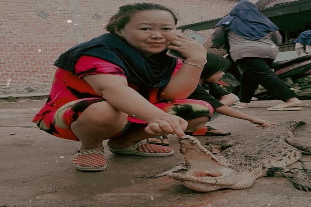 Lubuklinggau Gempar,...