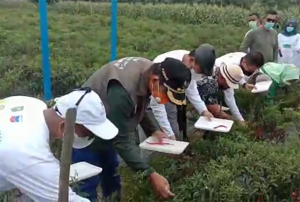 Kolaborasi Perusahaan...
