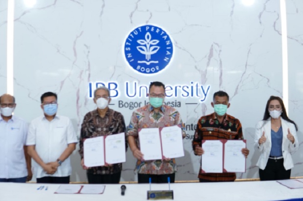 Implementasi Data Desa...