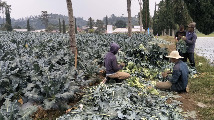 Dukung Program Petani...