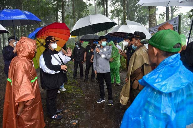 Soal Kawasan Hutan,...