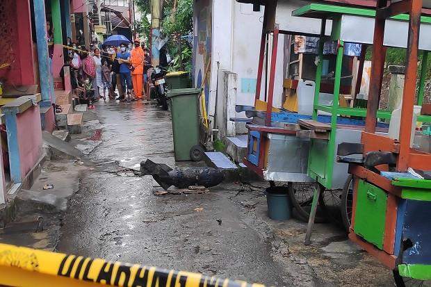 Lagi Cari Paku di Kali...