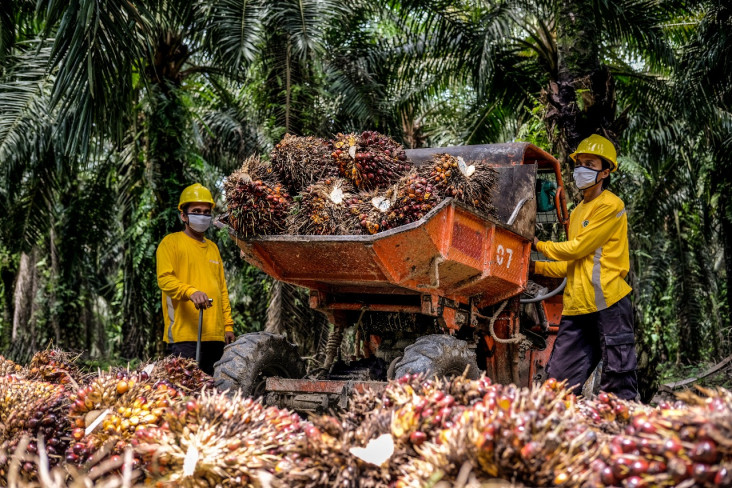 Usul Apkasindo Diterima,...
