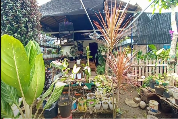 Budidaya Tanaman Hias...