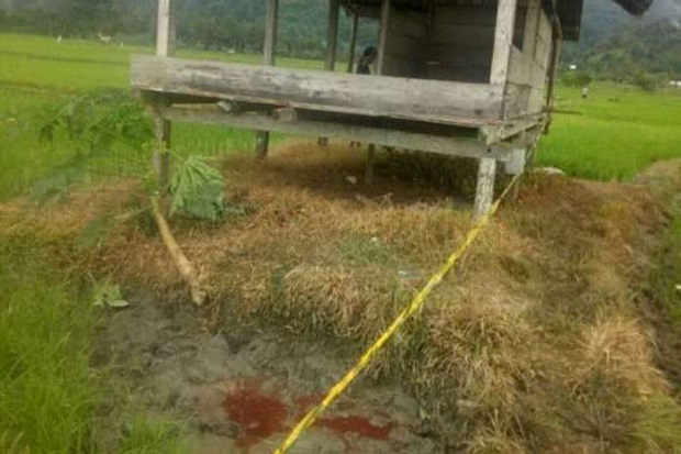Mengerikan, Cekcok di...