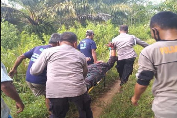 Pesisir Barat Gempar!...