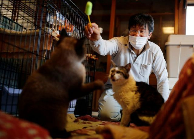 Pria Penyelamat Kucing-kucing...