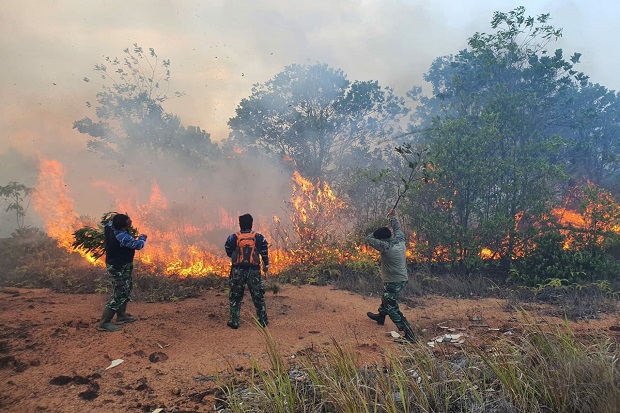 6 Hektare Hutan di Kawasan...