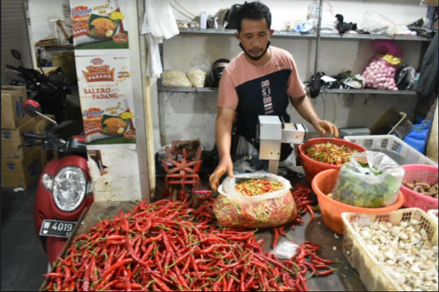 Harga Cabai Rawit di...