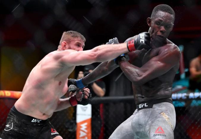 Jan Blachowicz Habisi...