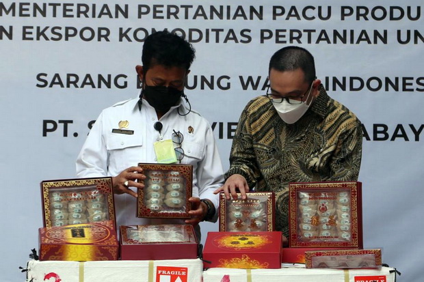 China Doyan Sarang Burung...