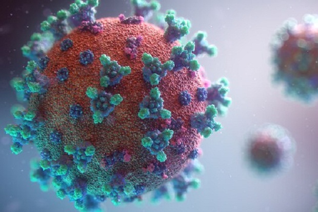 Studi Sebut Virus Corona...