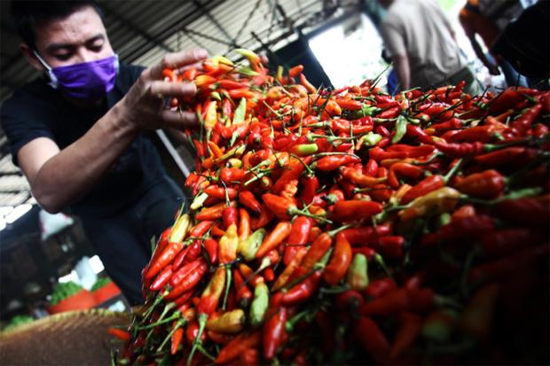 Harga Cabai Mahal, Emak-emak...