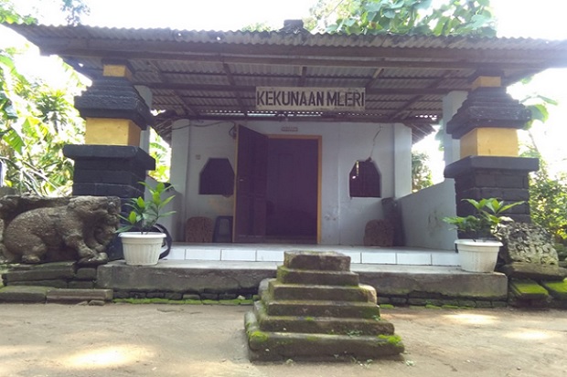 Kemunculan Macan Putih...
