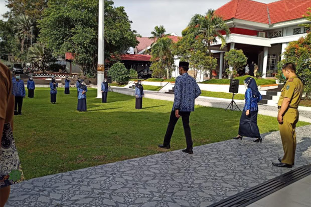 Ratusan CPNS Formasi...