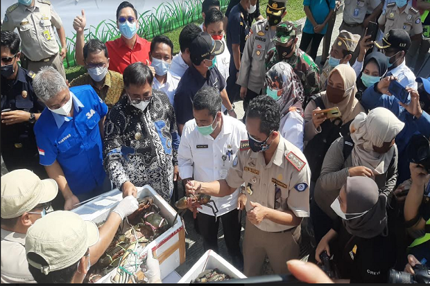 Perdana, Bandara SAMS...