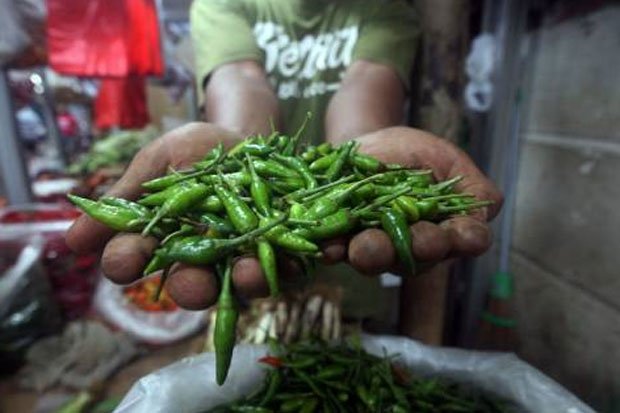 Harga Cabai Rawit Melonjak,...