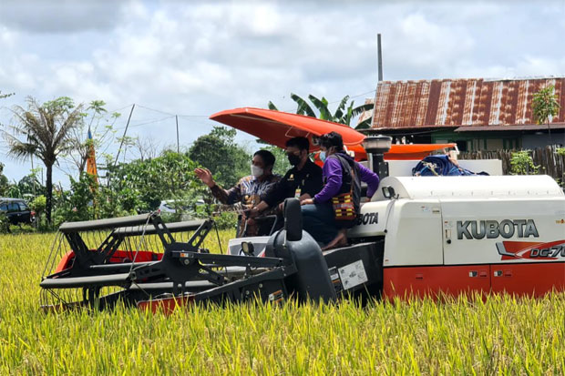 Panen Raya di Maros,...