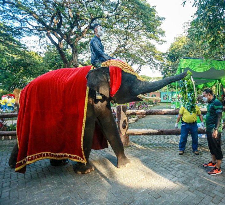 Wali Kota Surabaya Resmi...